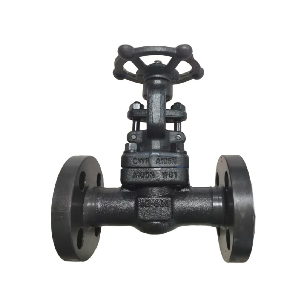 Forged Steel Gate Valve